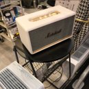 코카머슬로즈PT 이미지