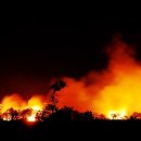 짬뽕세상 이미지