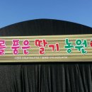 해를 품은 딸기농원 이미지