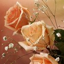 대구동중학교 이미지