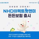 앤미