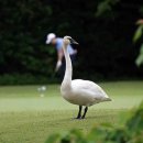 둥지목장 이미지