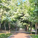 대구선반야월공원(괴전동) 이미지