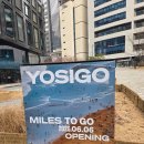 린 PC방 | 2026 행복이즈 서울여행5) 젭냥이랑 데이트 요시고 사진전 서울전시 롤파크 LCK cup 예매실패후기ㅠ