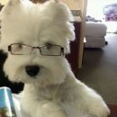 모쪼록 | 을지로 망우삼림 : 홍콩 감성 필름 현상소 필름 스캔 후기 / 캐논 오토보이2 템플스테이 사진 스캔