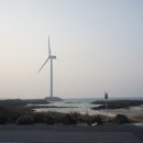 해녀촌식당 이미지