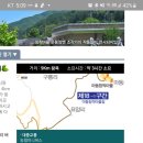 문의면보건지소 Daum카페