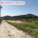 완월동103 이미지