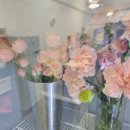 미크케이커리 이미지