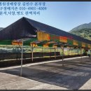 가야면사무소 이미지