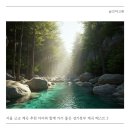 왕방산 등산로 | 서울 근교 아이와 계곡 추천 BEST 5 경기북부 당일치기 물놀이 장소 총정리