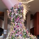 광산구-141 이미지