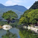 박사골한우 이미지