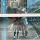 한전아트센터스포츠클럽(태권도) | 서초동 한전아트센터 수영장 다녀왔어요 | 양재역 자유수영 시간, 가격, 자판기
