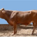 공인농장 이미지