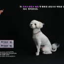포토스튜디오씨티