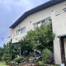 이디오랜 이미지