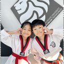 푸른태권도장 이미지