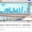 푸른이앤에스 | 📺 [으뜸효율 1등급] 삼성 50인치 UHD 4K 비즈니스TV 리뷰 : 공간을 가득 채우는 선명함과 합리성