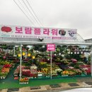 은평구꽃집 연신내꽃집 찾는다면 보람플라워