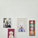 뽀야네 까까 이미지