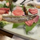 명참치