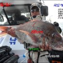 3/9일(일) 국도 대물참돔88cm,뱅에돔41cm외...낼오후정상출조. 이미지