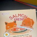 스푼풀코리아 이미지