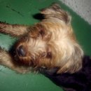 성서종합동물병원 이미지