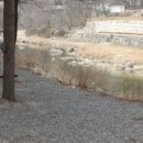 솔밭펜션 캠핑장 이미지