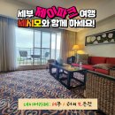 십이월칠일 | 첫날부터 시터 신청할걸… 여행 퀄리티가 이렇게 달라질 줄 몰랐어요