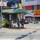 경북전문대 앞 횡단보도 이미지