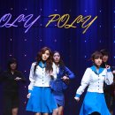 롤리폴리 이미지