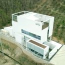 포레스트 펫 이미지