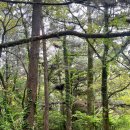 클래식하도 | 제주펜션추천 자쿠지 프라이빗 펜션 클래식하도 다녀온후기