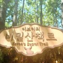 1431 | 서울숲 포켓몬 시크릿 포레스트 &amp; 성수 메타몽 놀이터 후기
