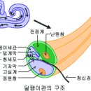 난원창의 기능좀 이미지