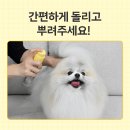 댕댕이집