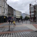 호현목장 | 코크 [Cork, Ireland] 2019/07/08