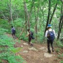 숲속계곡 쉴만한물가 이미지