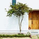 마당넓은집 이미지