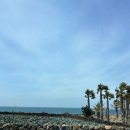 스테이 까미노 이미지