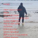 용인대 은성 태권도 이미지