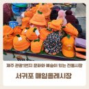 제주서귀포 올레시장 과일 레드향, 기념품 구매후기