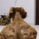 2021-주172 이미지