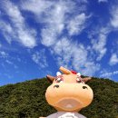 횡성 수농장 이미지