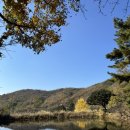 라 까시나 이태리 이미지