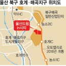 호계매곡지구 이미지