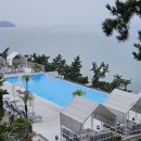 비고리조트 9 이미지