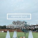 십일월오일 | 십일월오일 애견동반펜션 수영장 잔디 불멍 바베큐 아이랑